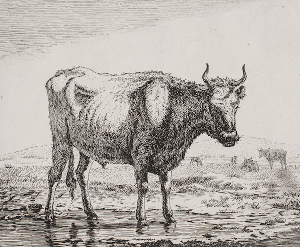 Stående ko ved vandhul 1820  1821