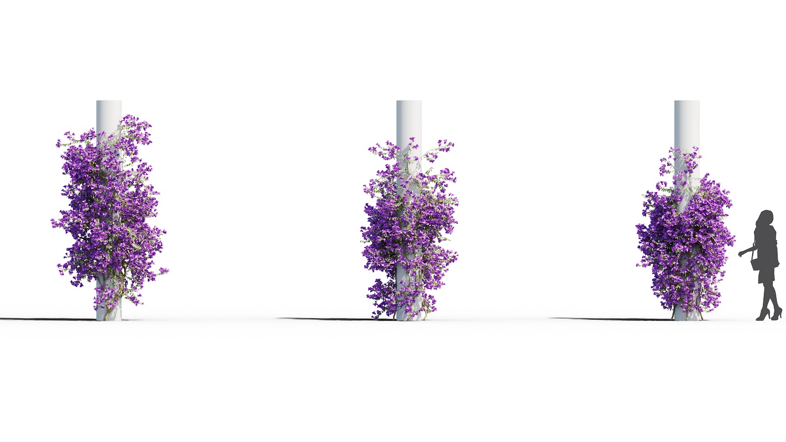 Maxtree - Plant Models Vol.37