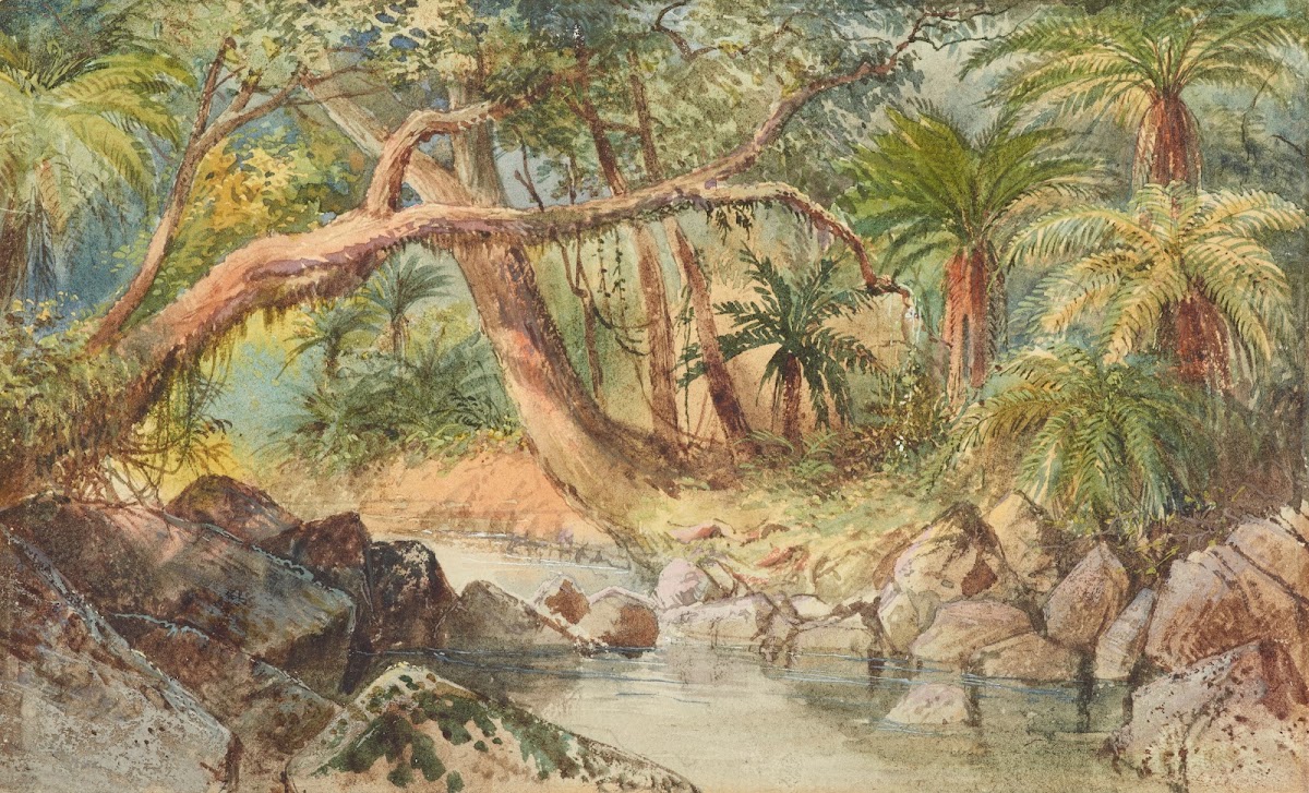 Creek at Holmes Bay Banks Peninsula fuschia trees 1866