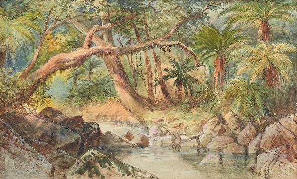 Creek at Holmes Bay Banks Peninsula fuschia trees 1866