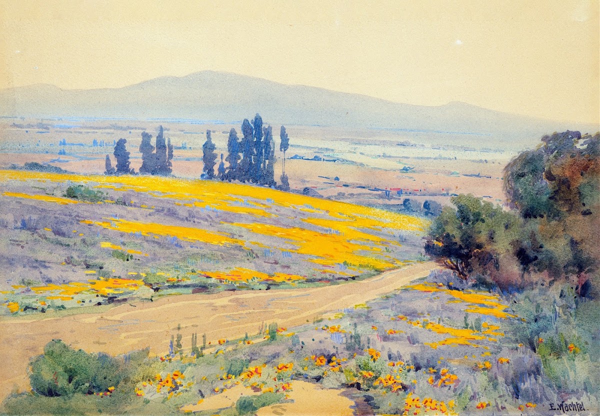 California Spring Landscape ca 1920