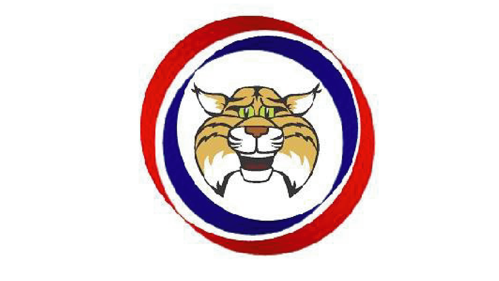 Wallin Elementary School Logo