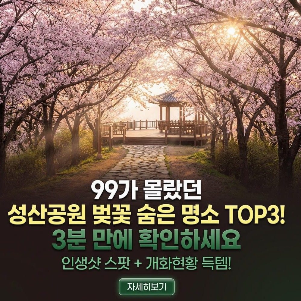 2026 성산공원 벚꽃: 개화 현황 및 인생샷 명소