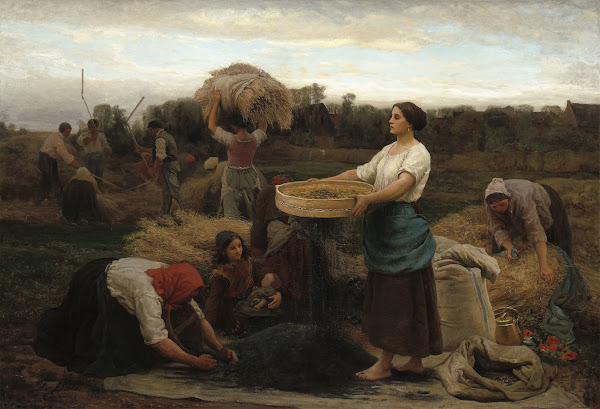 The Colza Harvesting Rapeseed 1860