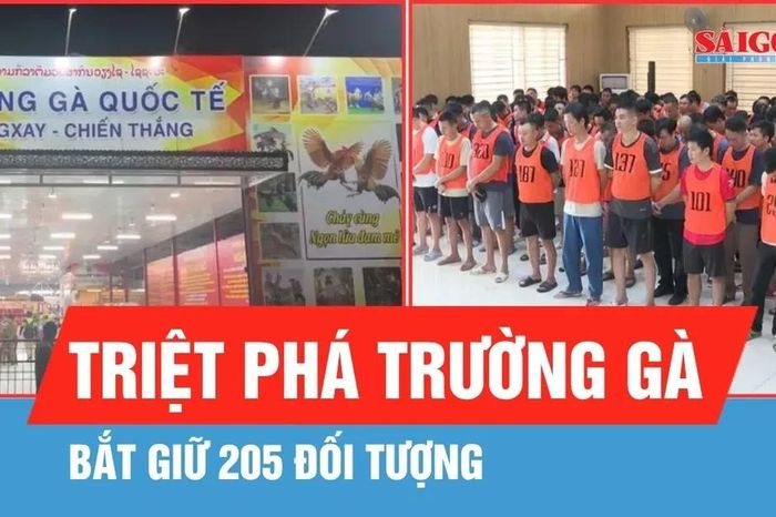 Triệt phá 'Trường gà quốc tế Viêng Xay', bắt giữ 205 đối tượng - Báo Sài Gòn Giải Phóng