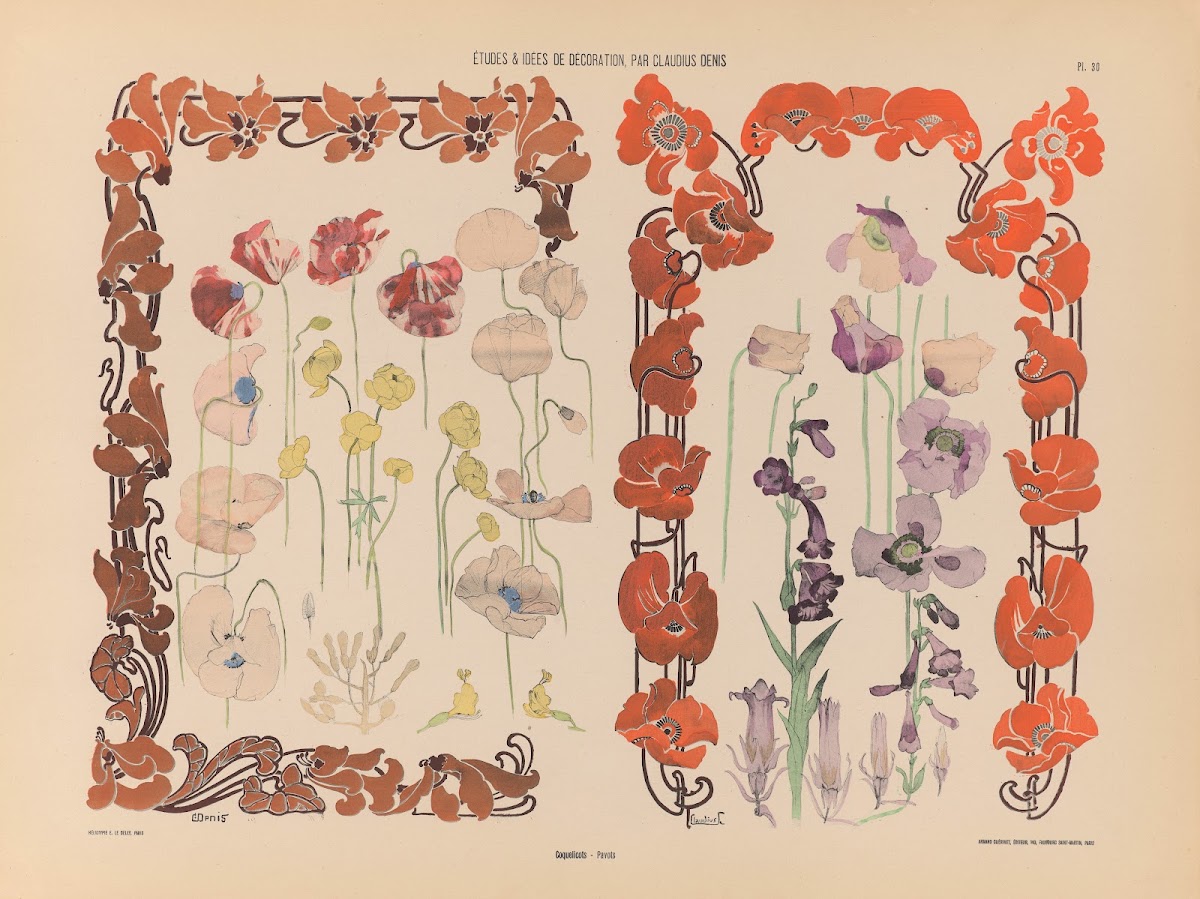 Coquelicots  Pavots 1920