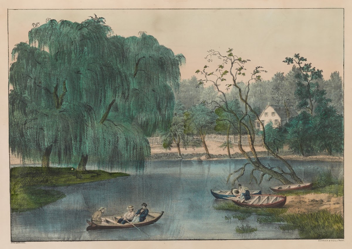 The rural lake