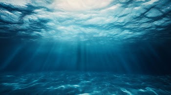 Underwater Sea Wallpaper