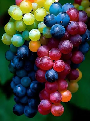 Rainbow Grapes Picture
