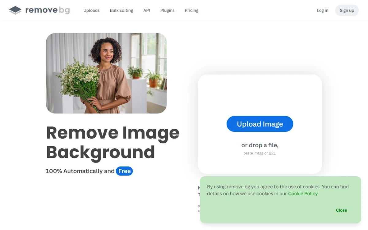 Captura de Remove Background AI