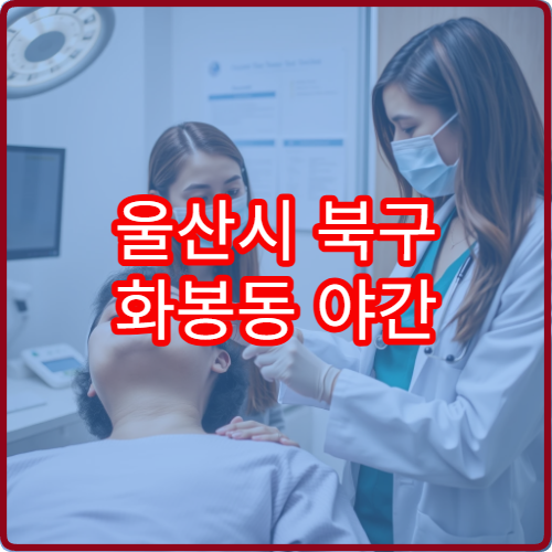 울산시 북구 화봉동 야간 안과 진료 가능한 병원 눈 검사 진료 정보