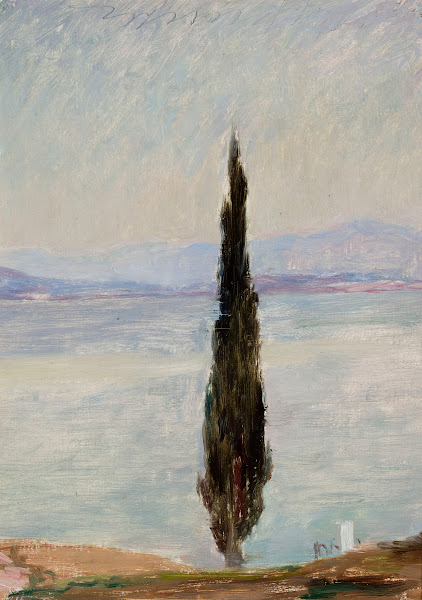 Cypress From the journey to Constantinople 1893