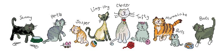 Bt XR03 Row Of Cats