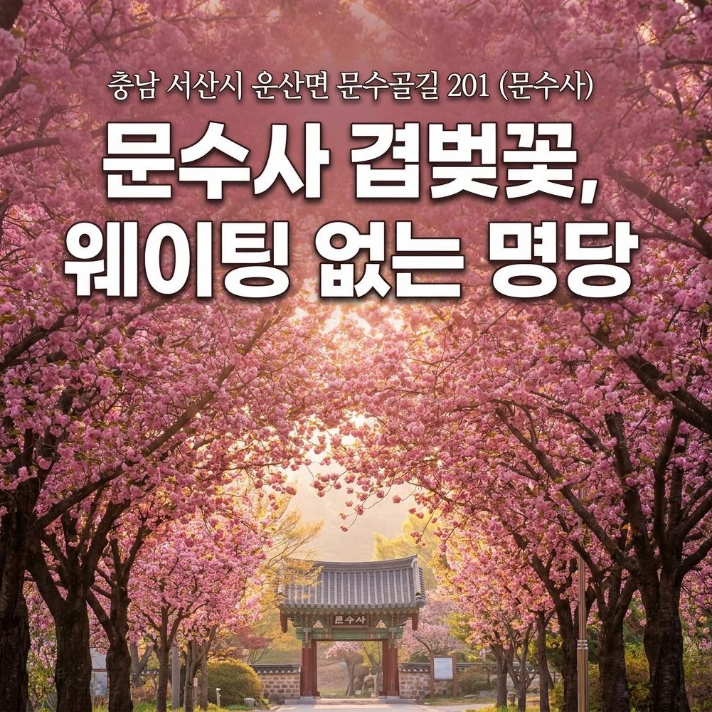2026 서산 문수사 겹벚꽃 가이드