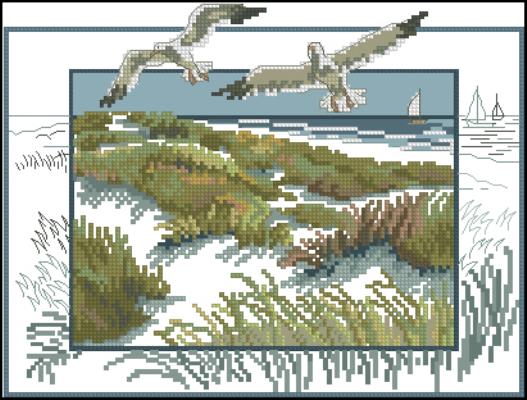 CMP 290053 Guls