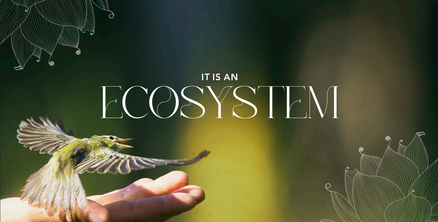 Ghafwoods gallery image 3