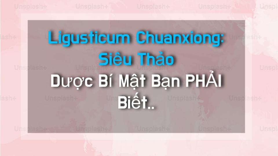 Ligusticum Chuanxiong: Siêu Thảo Dược Bí Mật Bạn PHẢI Biết Ngay!