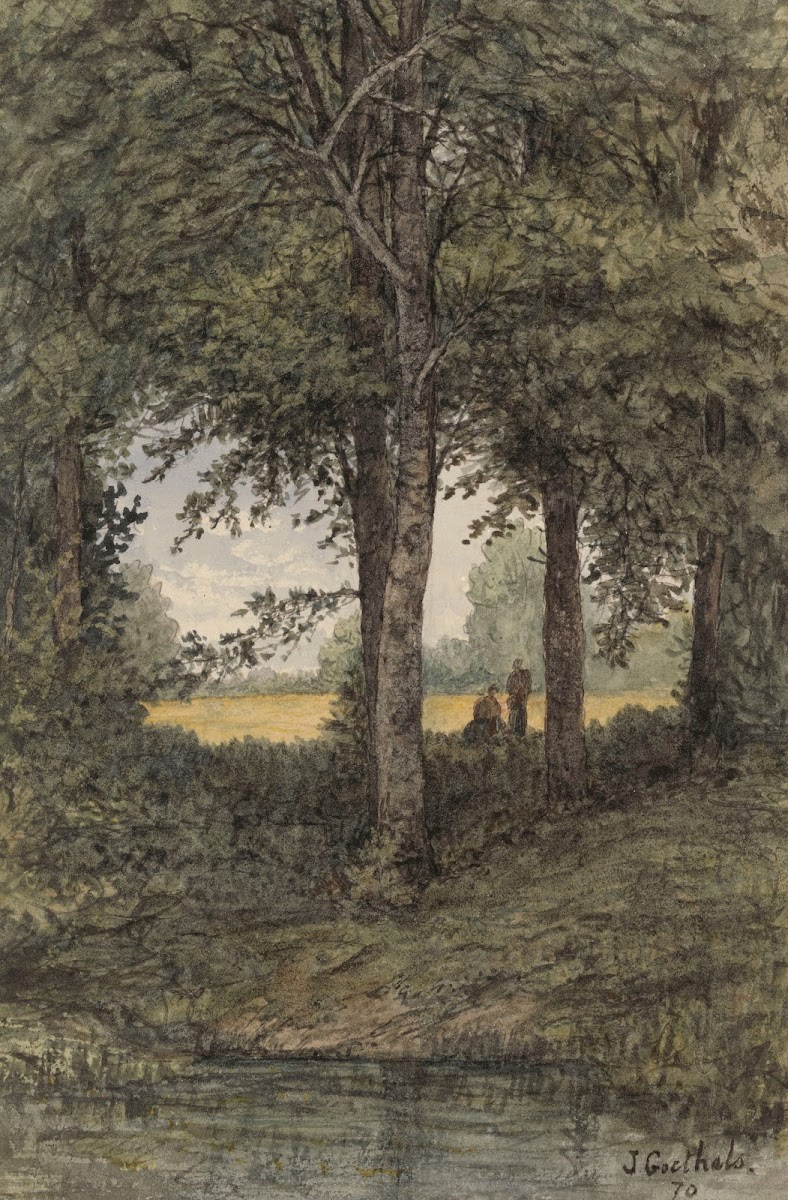 Forest Landscape 11870