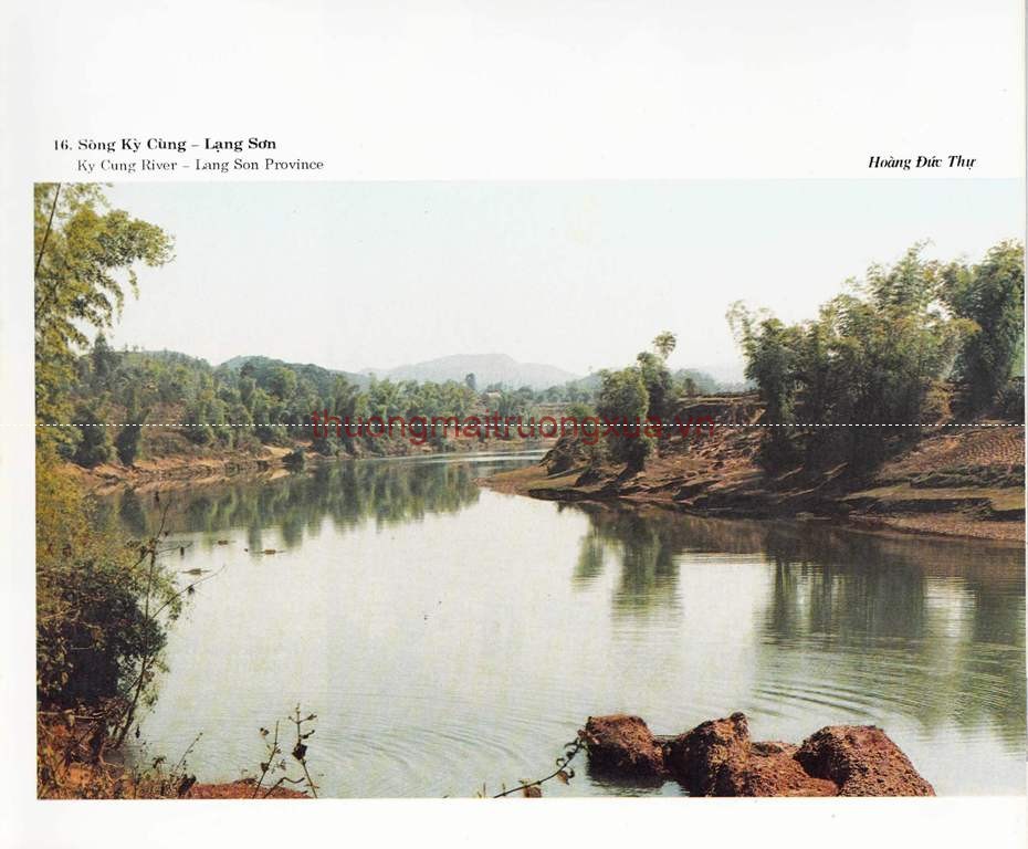 Tập san : Mực tím (số 67 - 1992) - Trang 22