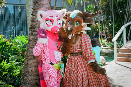 furdu-35.jpg