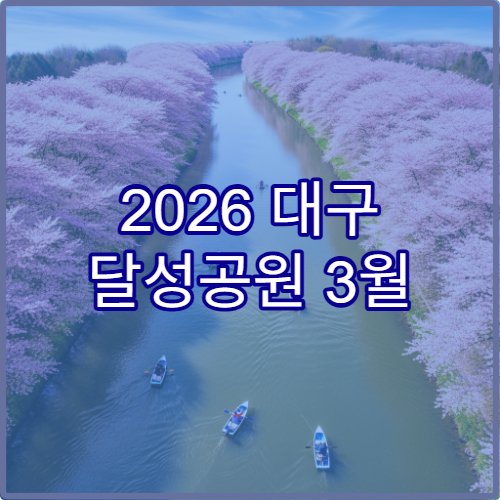 2026 대구 달성공원 3월 벚꽃 날씨 대비 완벽 복장 준비 가이드