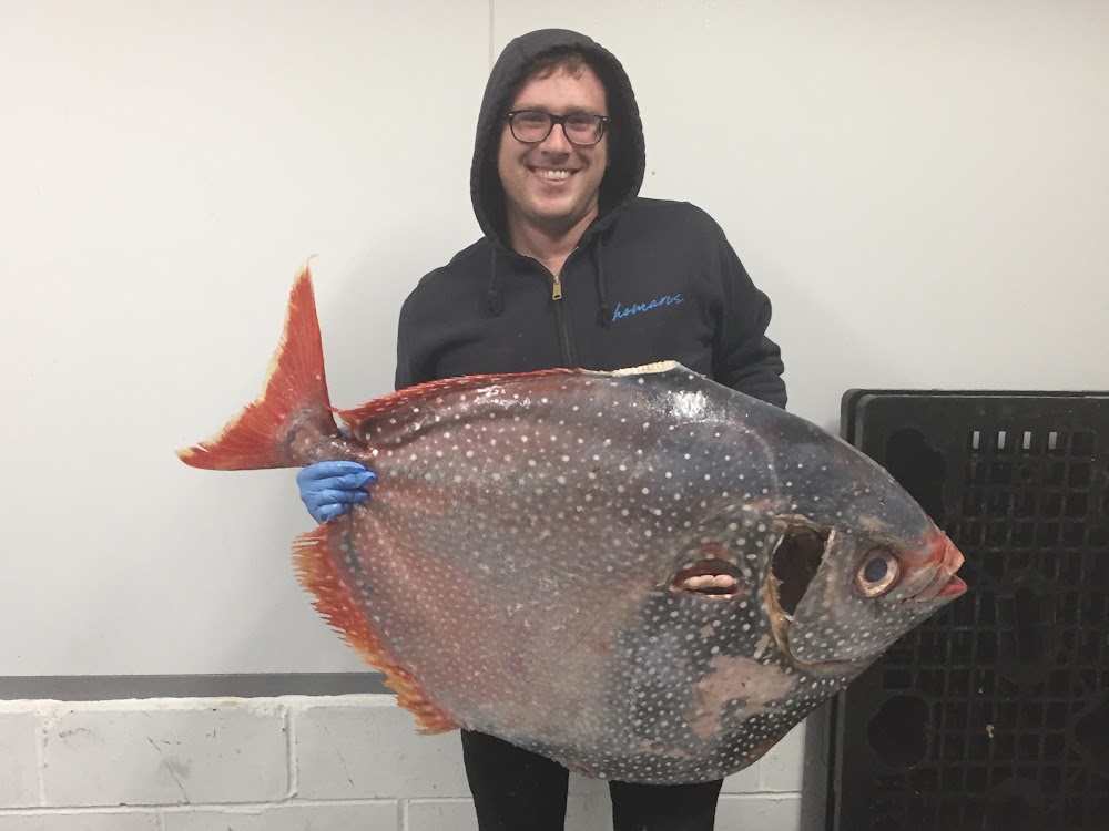 Vinny holding a giant fish at Greenpoint Fish