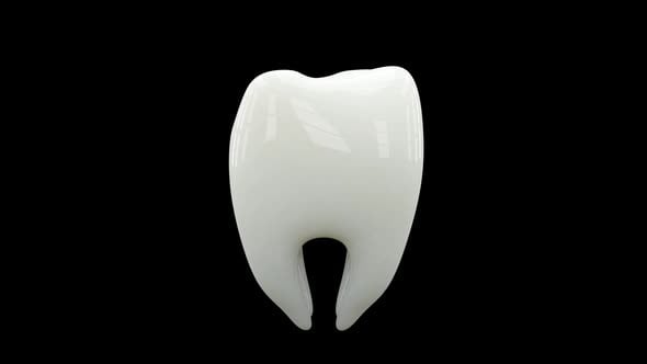 Seamlessly Looping 3D White Tooth Rotation Free Download – Envato Elements