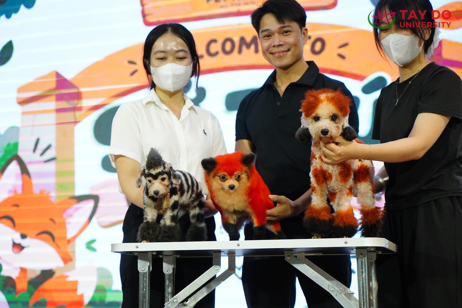 Workshop “Hướng nghiệp – Khám phá nghề Grooming” | Một trải nghiệm thú vị cùng sinh viên TDU