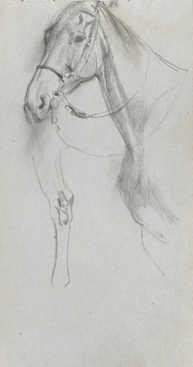 Study for a Horse 1860s