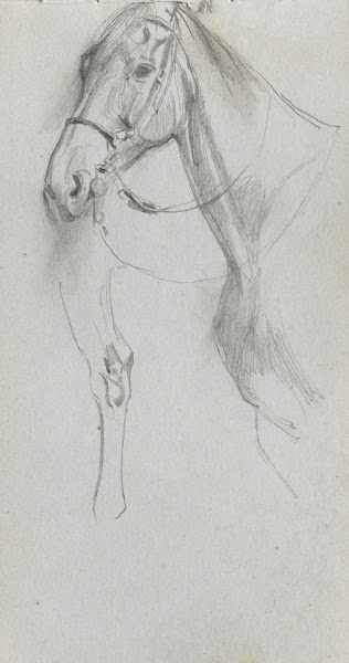 Study for a Horse 1860s