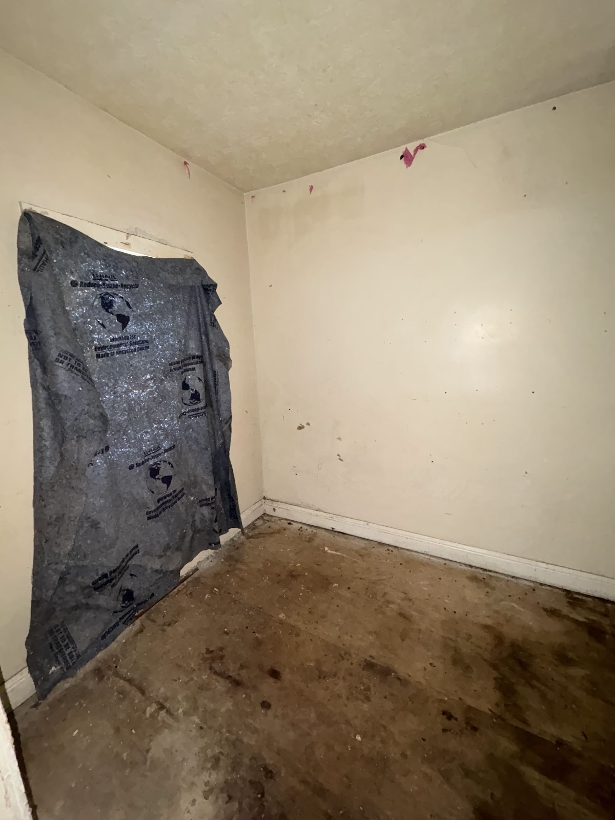 Copy of IMG_8181.HEIC