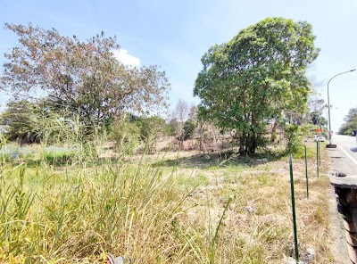 Tanah 3.24 Ekar Jalan Jenderam-Salak Tinggi, Sepang — foto 4/10