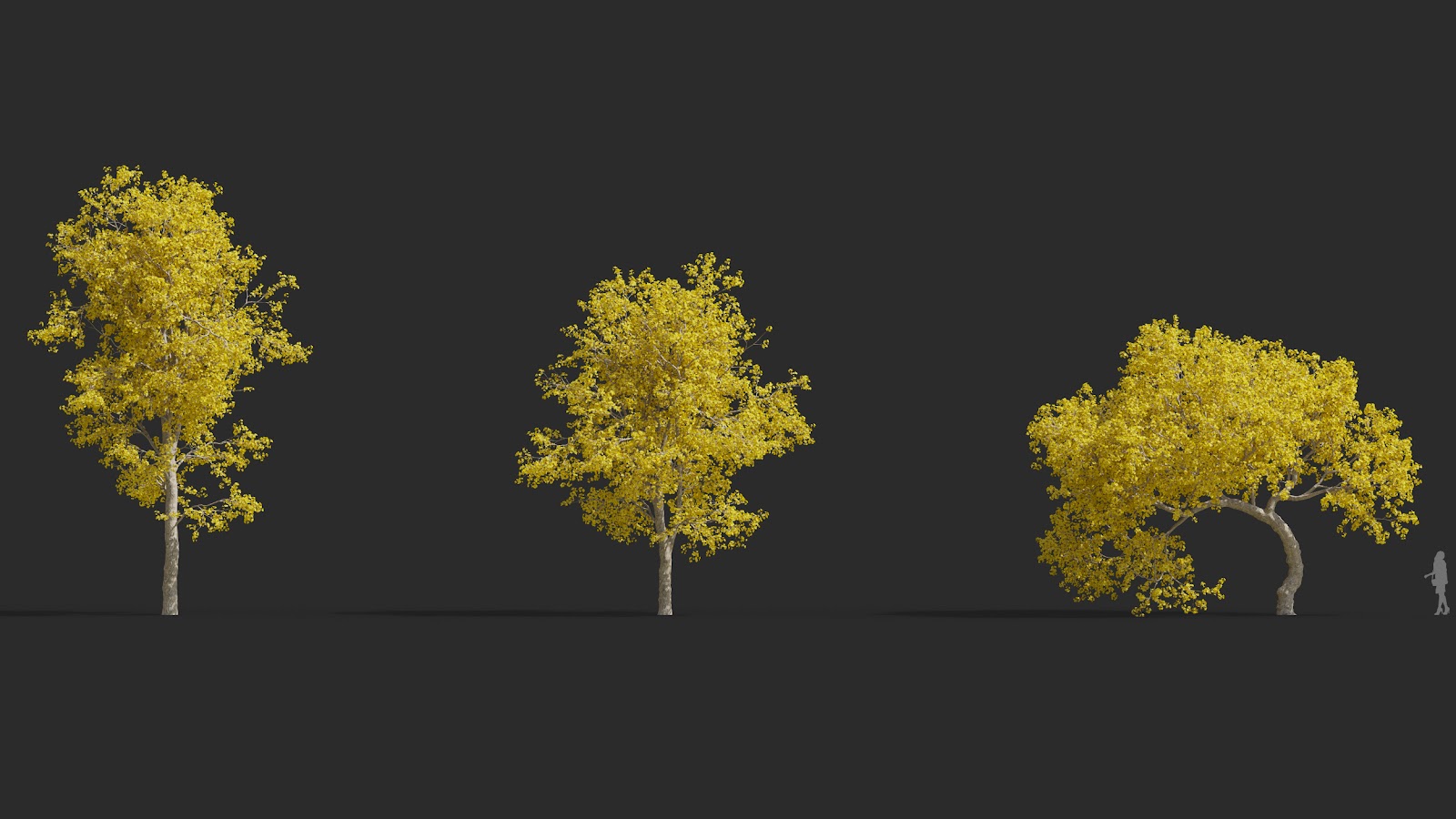 Maxtree - Plant Models Vol.72