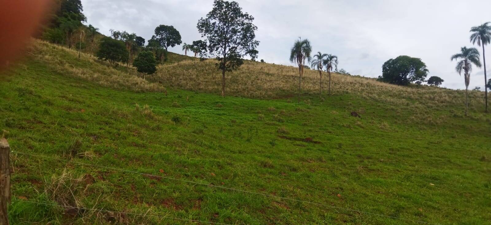 Fazenda no Município de Niquelândia - GO 4