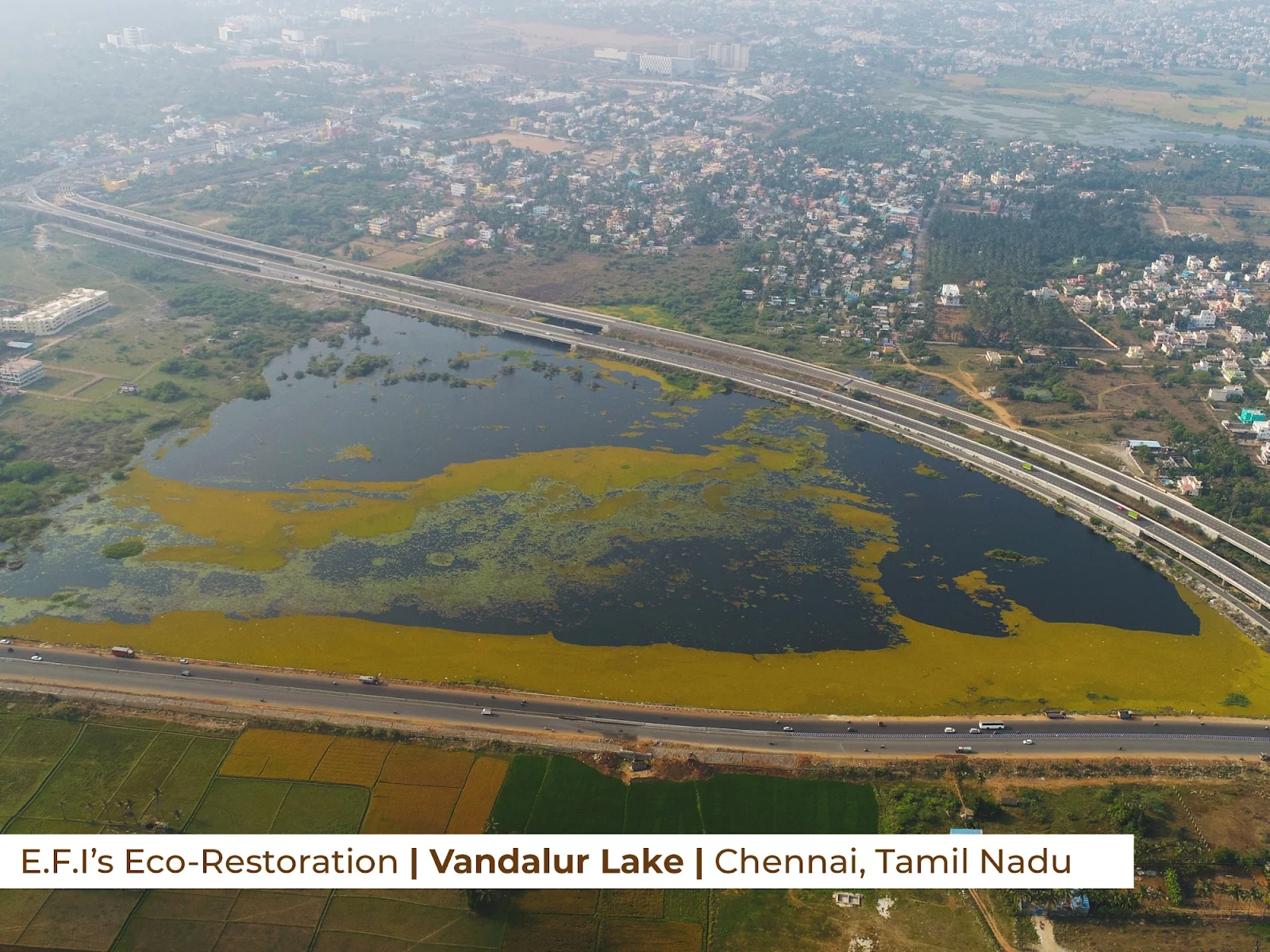 Vandalur
