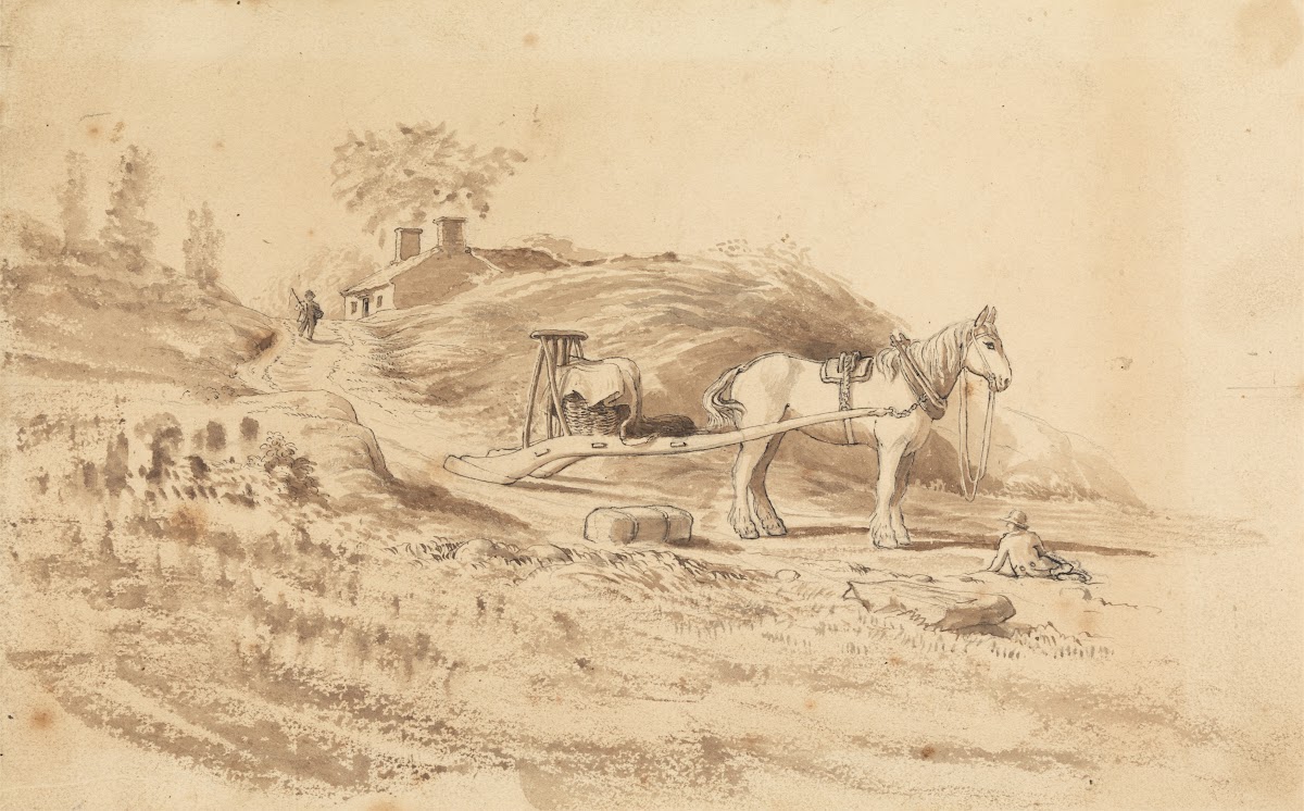 A Horse pulling a Drag