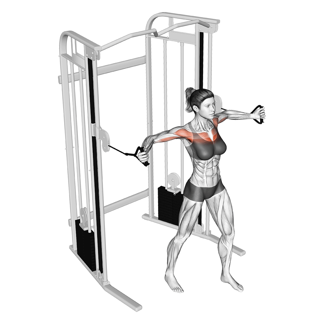 Cable Chest Fly