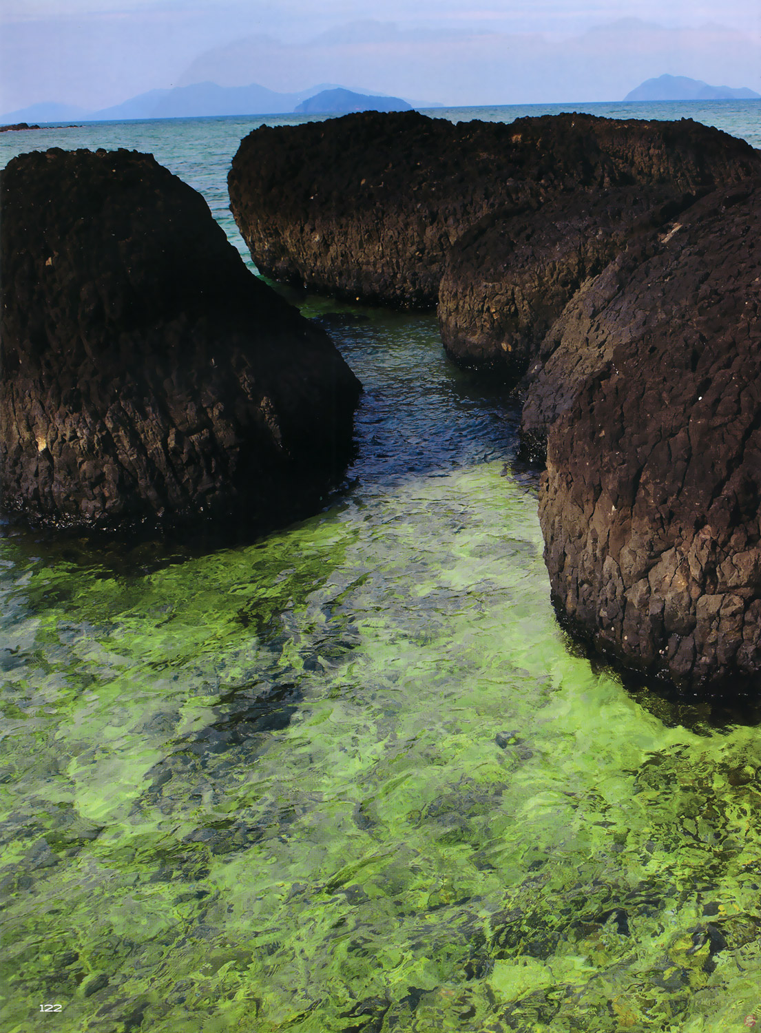  ดิฉัน 792 : สุษิรา แอนจิลีนา แน่นหนา 