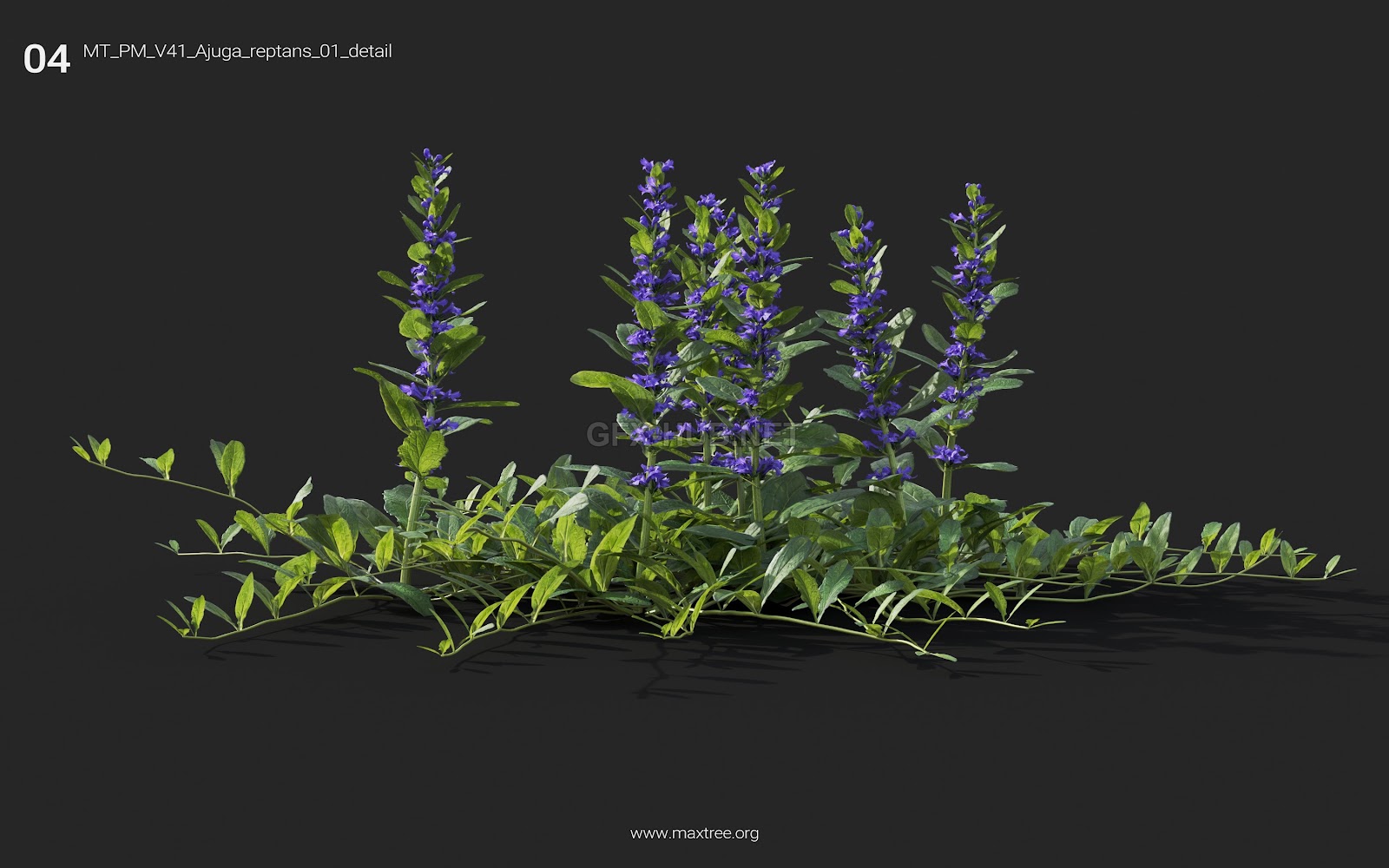 Maxtree - Plant Models Vol.41