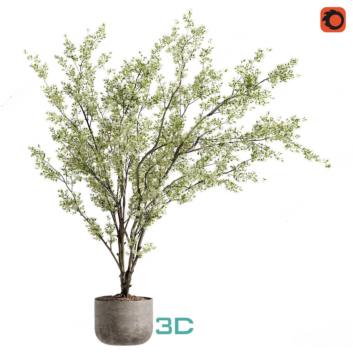 978.Sell Album Indoor Plant PRO Vol 01
