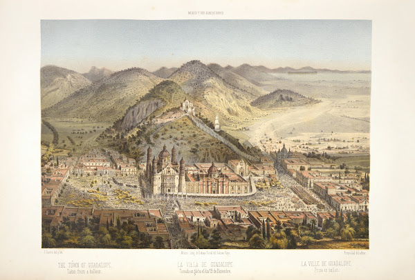 The town of Guadalupe taken from a balloon 1869