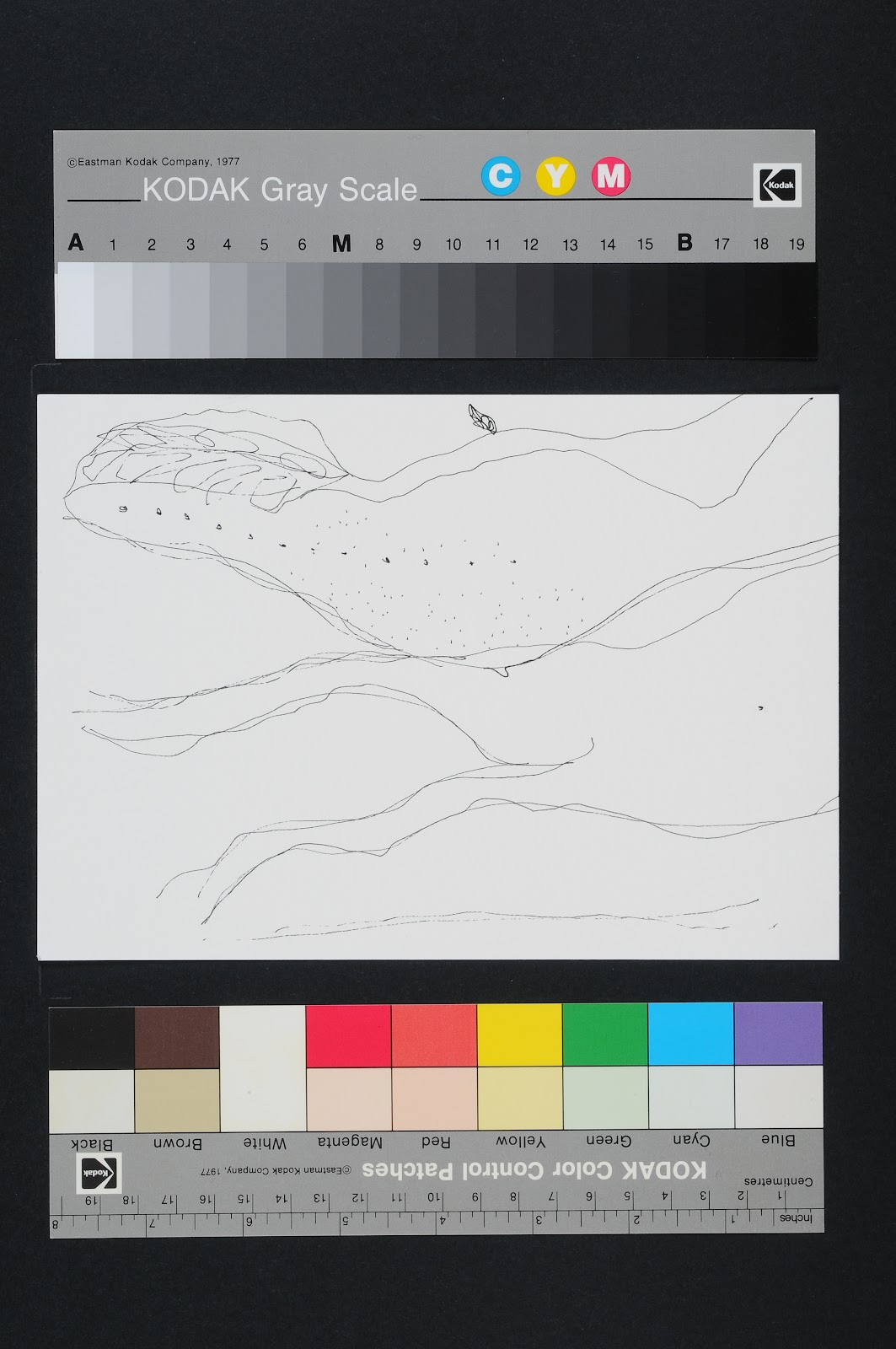 Drawn Poems