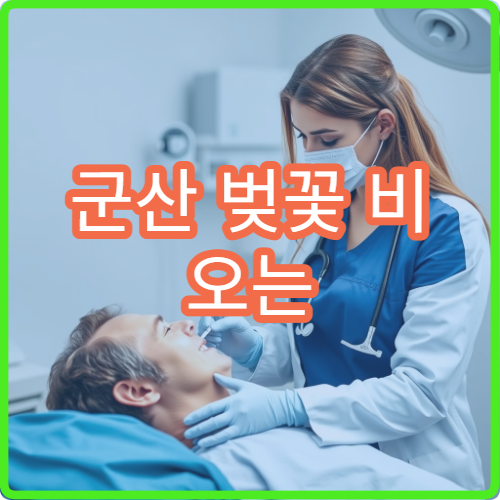 군산 벚꽃 비 오는 날 대체 경암동 카페 테라스 뷰 명소 추천