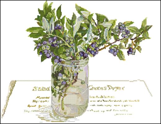 CMP 200013 Blueberry