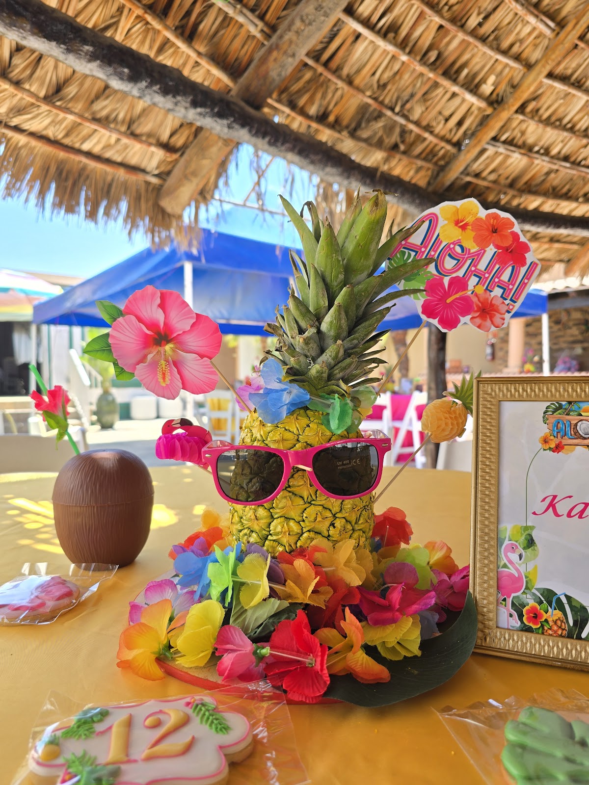 Fiestas infantiles - Celebraciones para niños - Marbella Princess Parties Tijuana