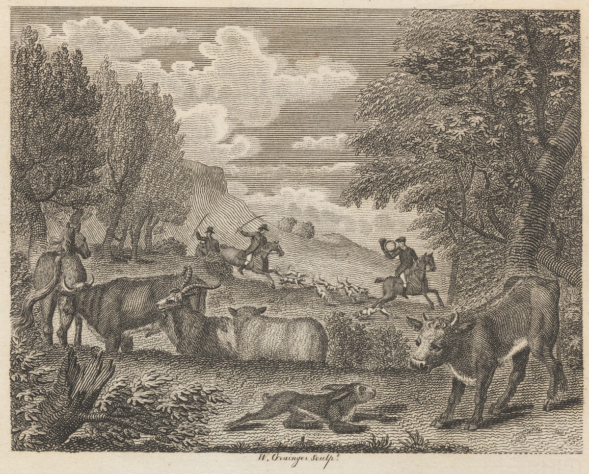Fable L The Hare and Many Friends 1793