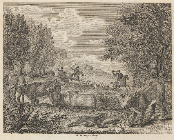 Fable L The Hare and Many Friends 1793