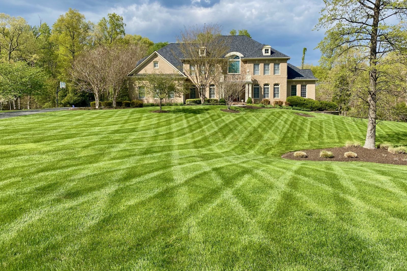 Perfectly pristine beautiful lawn