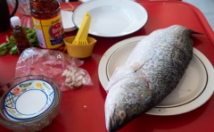 Sả làm sạch rồi cắt nhỏ. Cá rửa thật sạch, chà rửa cùng gừng cho bớt tanh, cho cá lên nồi hấp, nhét sả vào bụng cá, hấp cá trong 10-15 phút tùy thuộc vào độ lớn của cá.