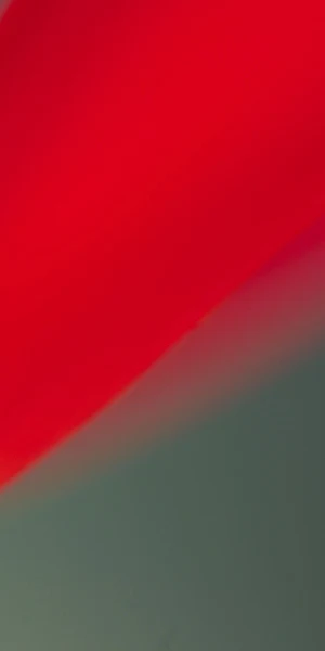 Abstract Red Flower Petal Macro 4K Wallpaper Background
